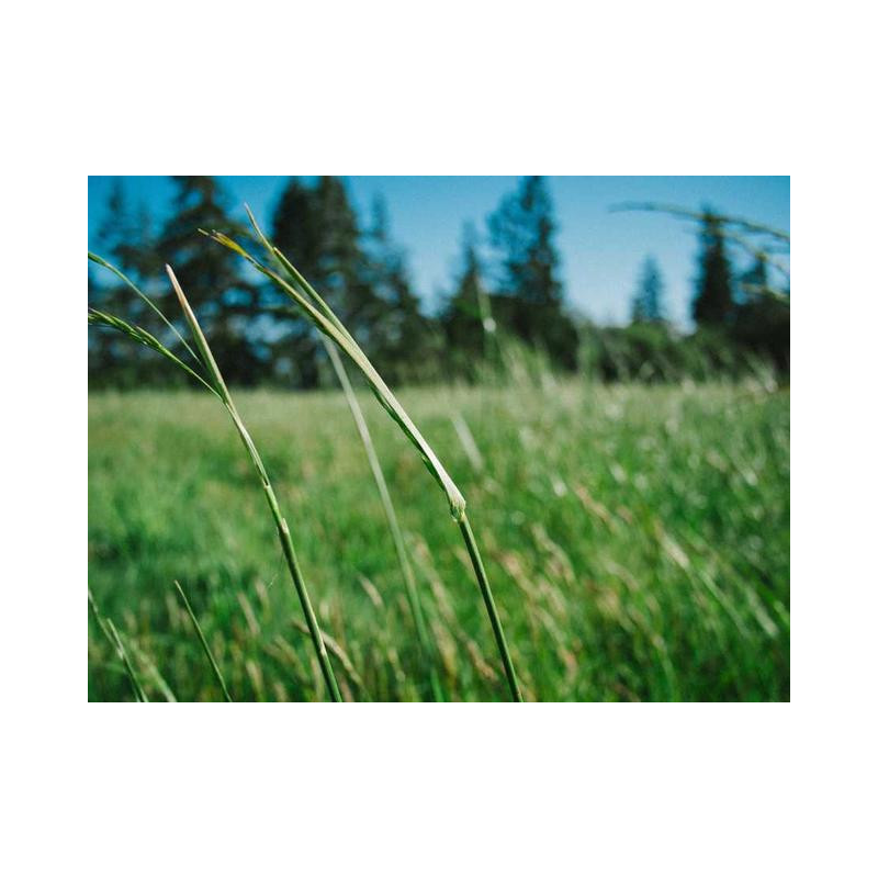 Gorgeous Copper Table fr-FR